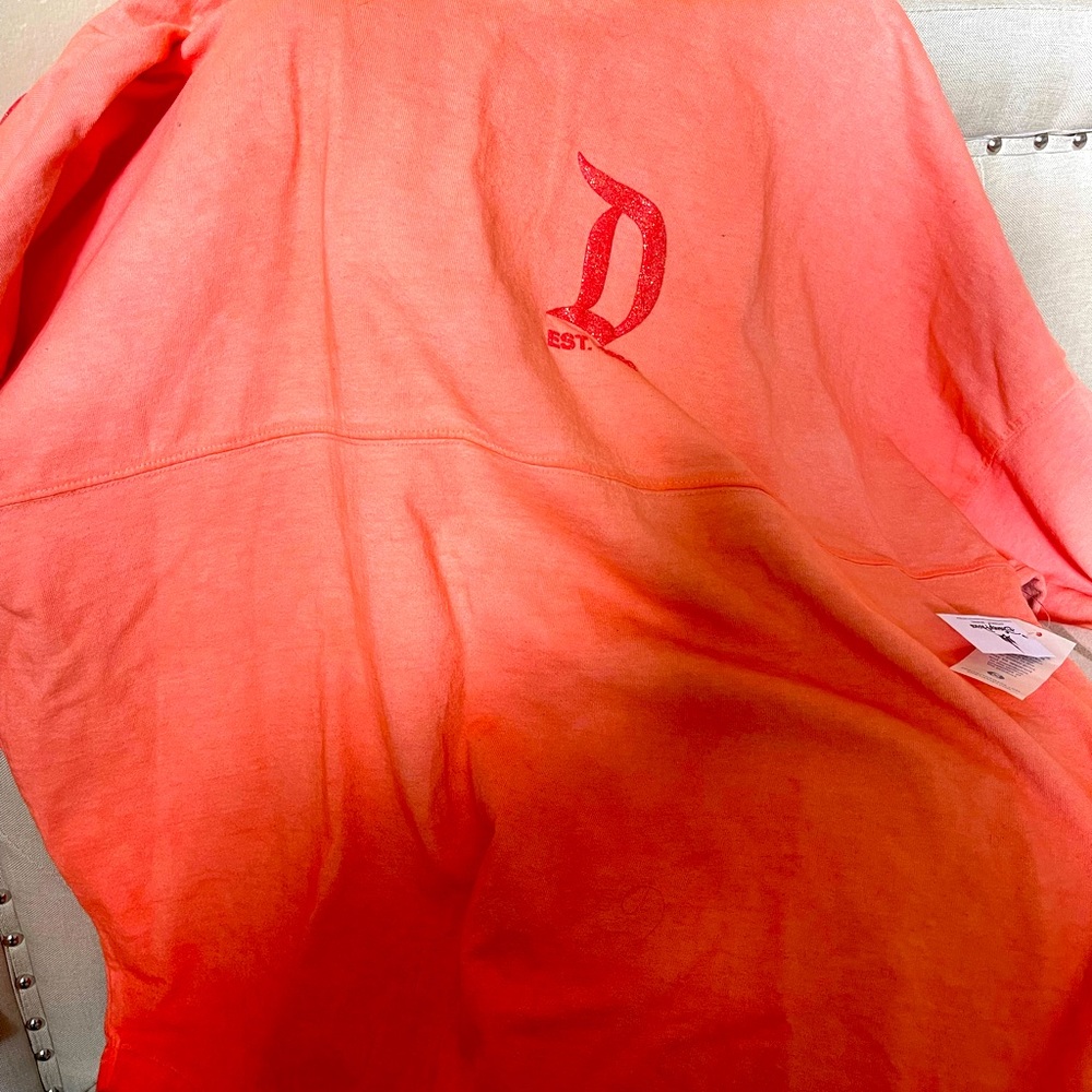 Disney spirit jersey